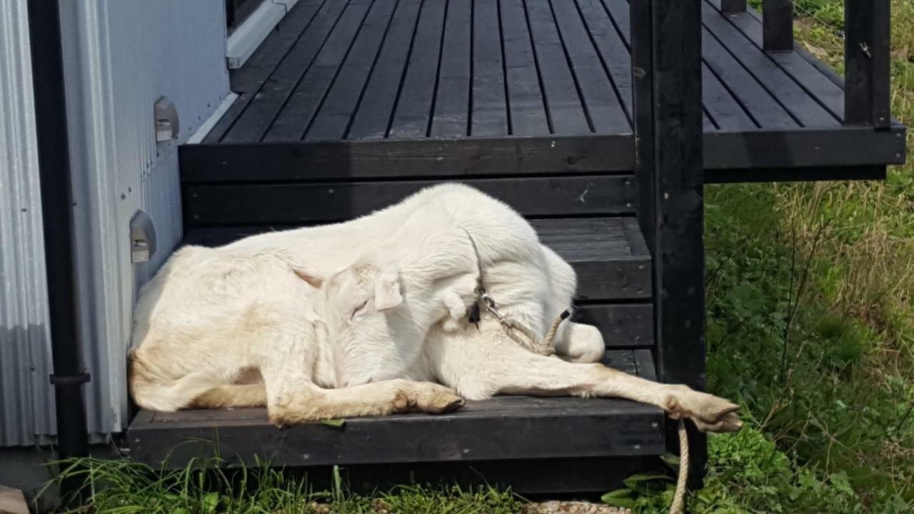 Asobi Lodge Kyotango Zewnętrze zdjęcie